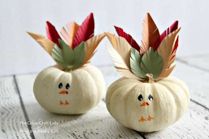 Turkey Mini Pumpkins
