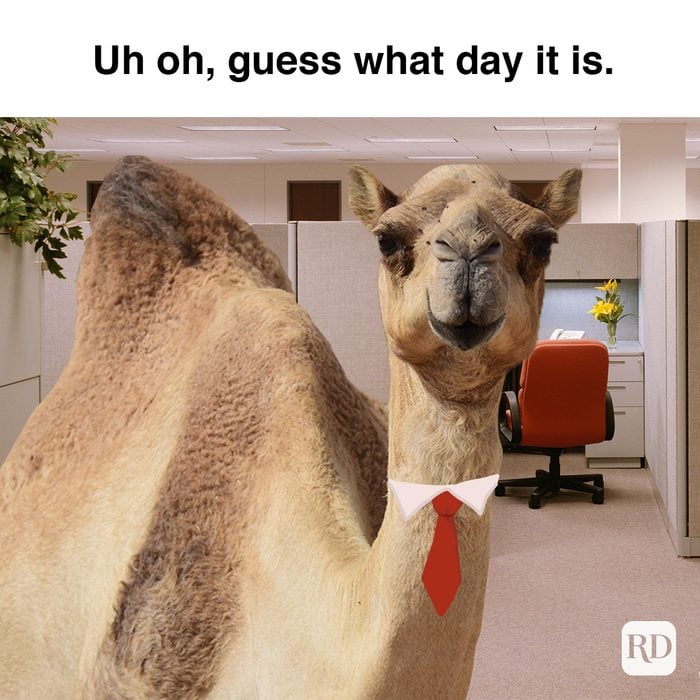 Uh Oh, Guess What Day It Is