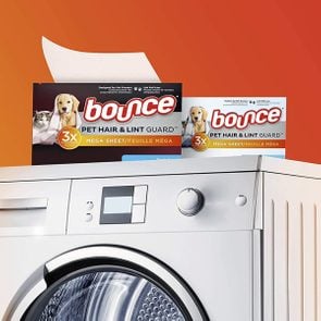 Bounce Pet Hair Dryer Sheets