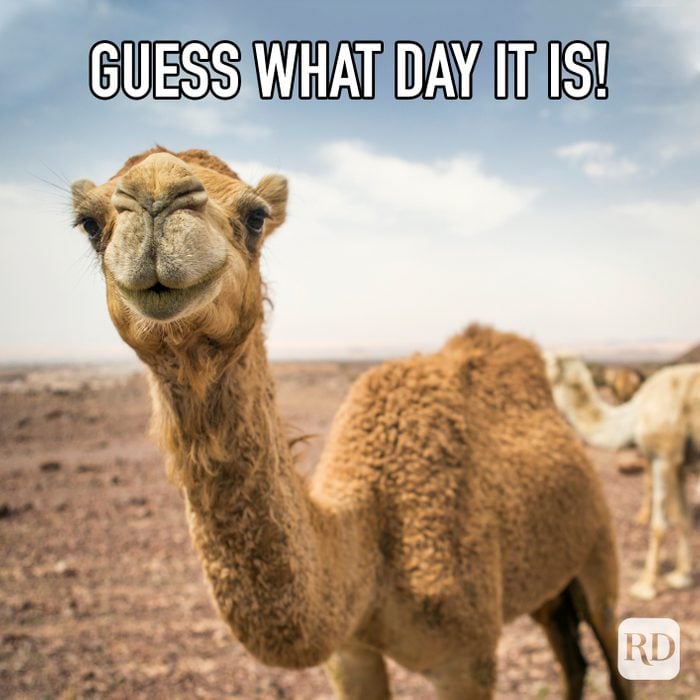 Guess What Day It Is meme text