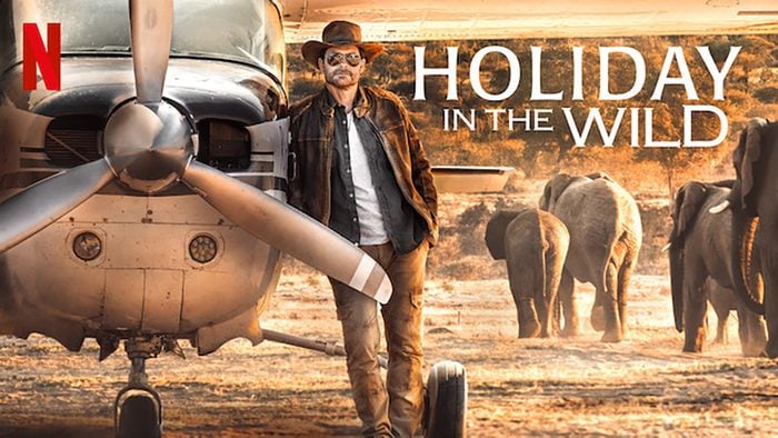 Holiday In The Wild Movie