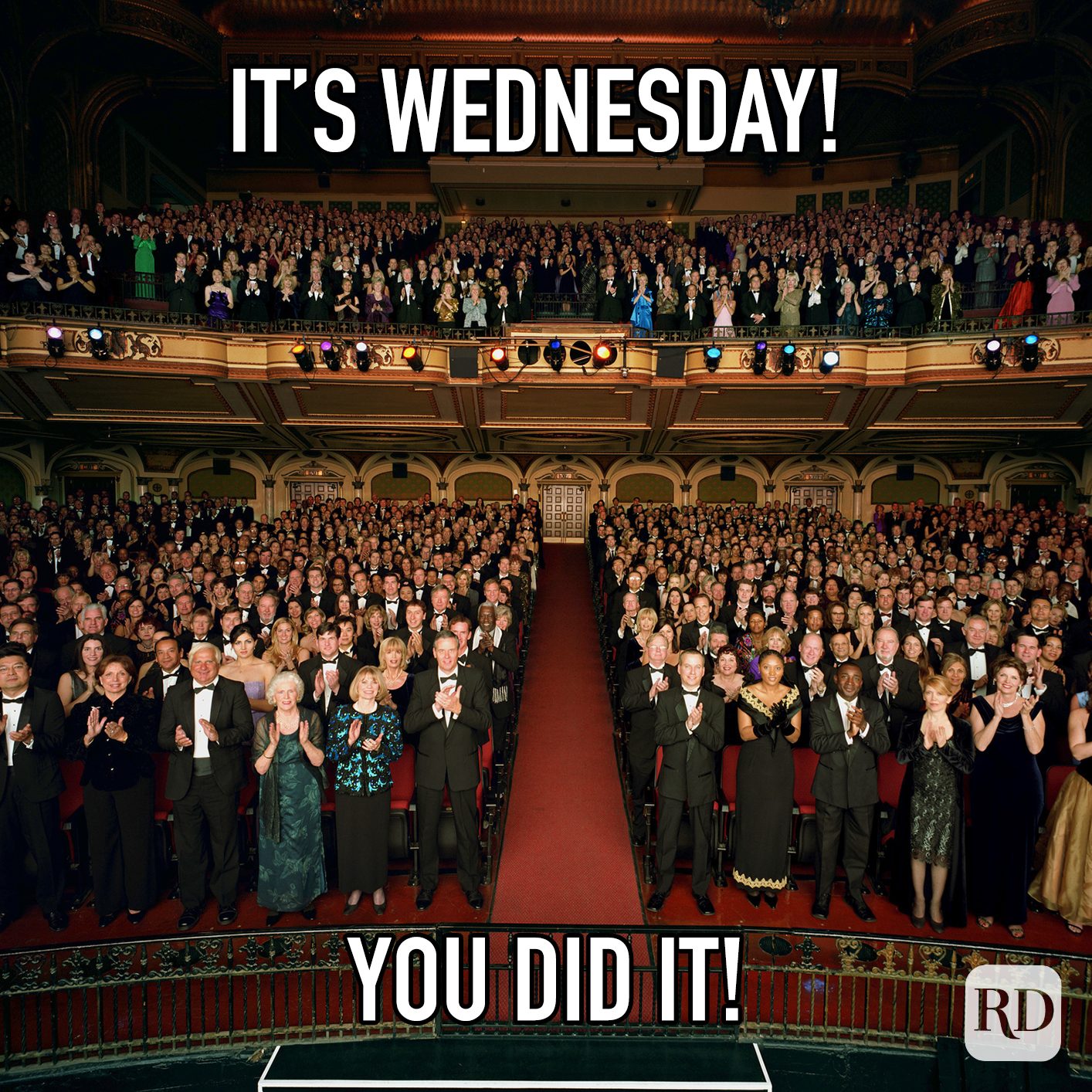 Its Wednesday You Did It meme text over image of a standing ovation