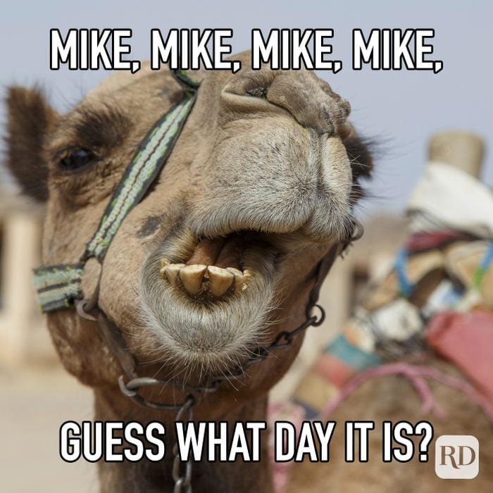 Mike Mike Mike Mike Guess What Day It Is meme text