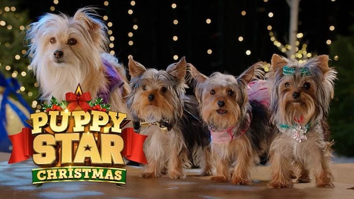 Puppy Star Christmas Movie