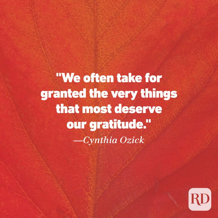 Thanksgiving Quote by Cynthia Ozick