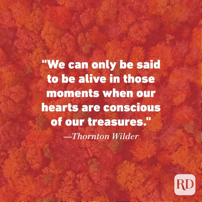 Thanksgiving Quote by Thornton Wilder