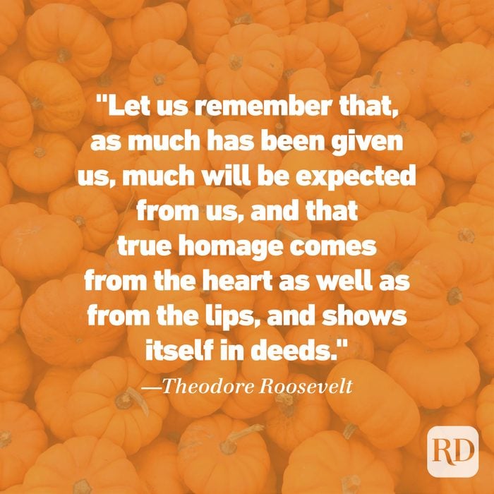 Thanksgiving Quote by Theodor Roosevelt