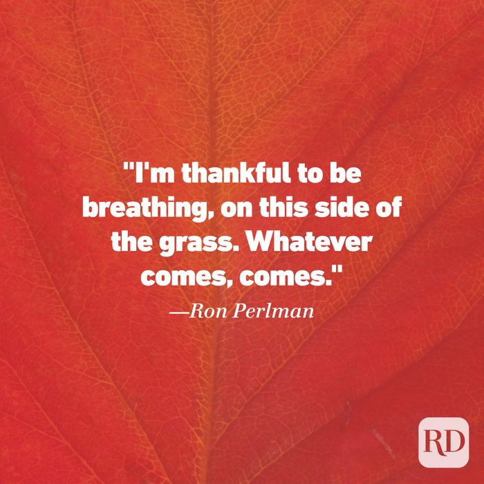 Thanksgiving Quote by Ron Perlman