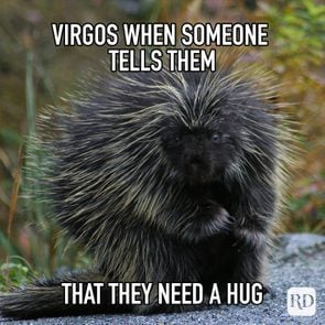 Virgos When Someone Tells Them That They Need A Hug meme text on image of surprised porcupine