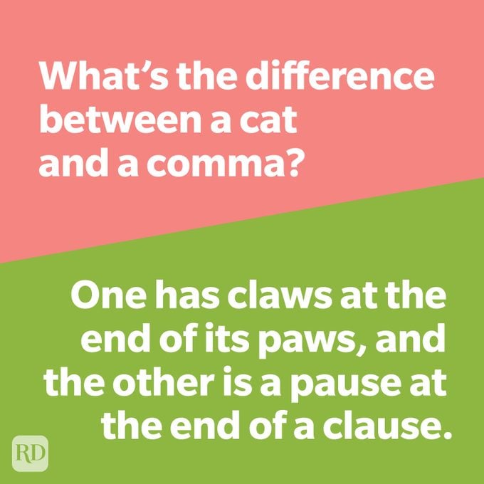 Whats The Difference Joke Cat Vs Comma