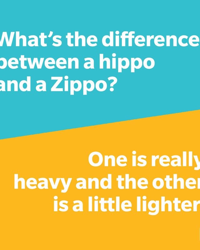 Whats The Difference Joke   Hippo Vs Zippo