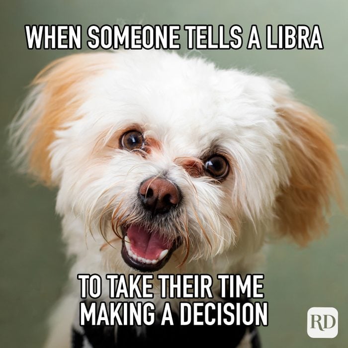 When Someone Tells A Libra To Take Their Time Making A Decision meme text on image of happy dog