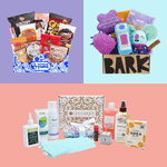 46 Best Subscription Boxes for Beauty, Style, Home, Food, Drink, Pets, Kids and Hobbies