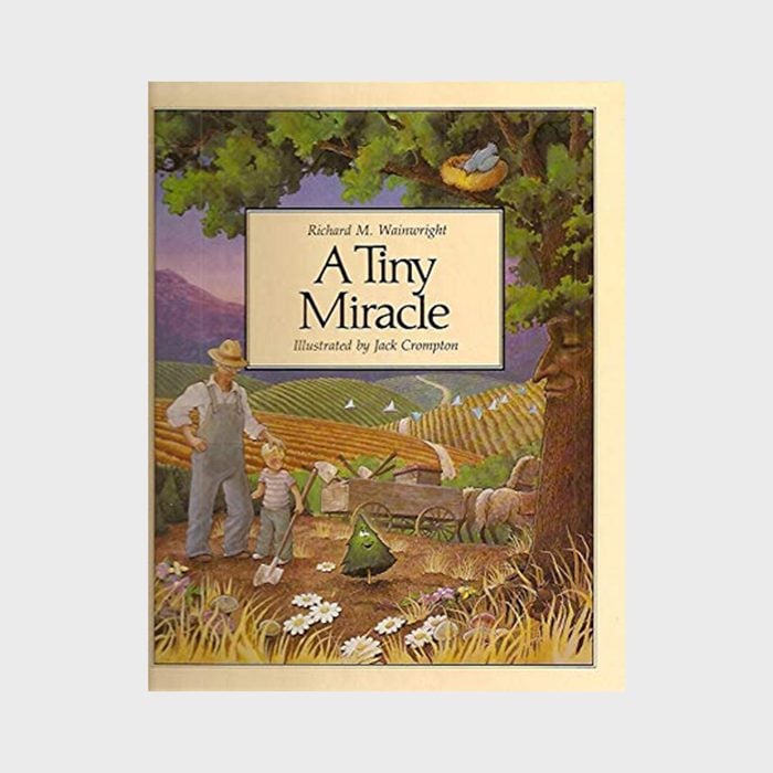 A Tiny Miracle By Richard M. Wainwright And Illustrated By Jack Crompton Via Amazon