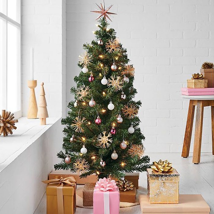 Alberta Spruce Mini Christmas Tree