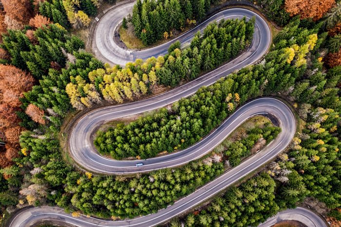 Aerial View Of Winding Road Amidst Tree