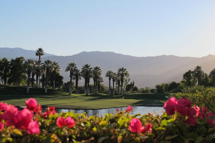 Palm Springs golf course with lush greens and plants
