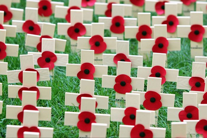 Poppy crosses are pictured in the Field of Remembrance at Westminster Abbey in London, England.