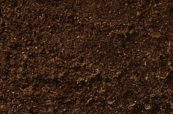 full frame soil texture