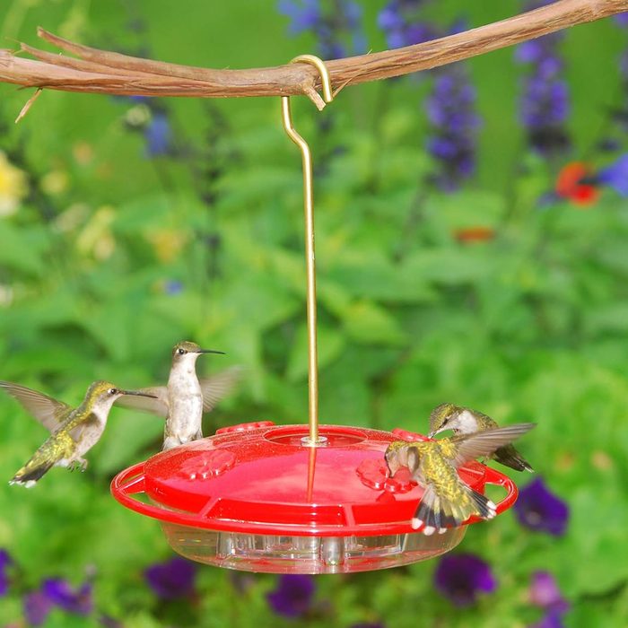 Hummzinger Hummingbird Feeder