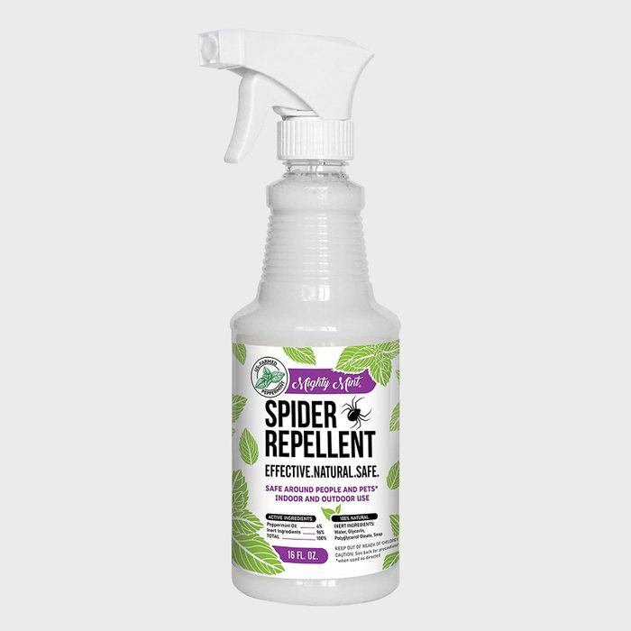 Mighty Mint 16oz Spider Repellent Peppermint Oil Natural Spray For Spiders And Insects