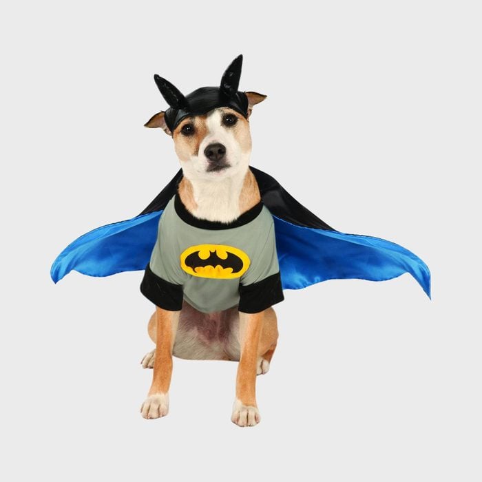 Rd Ecomm Batman Dog Costume Via Petsmart.com