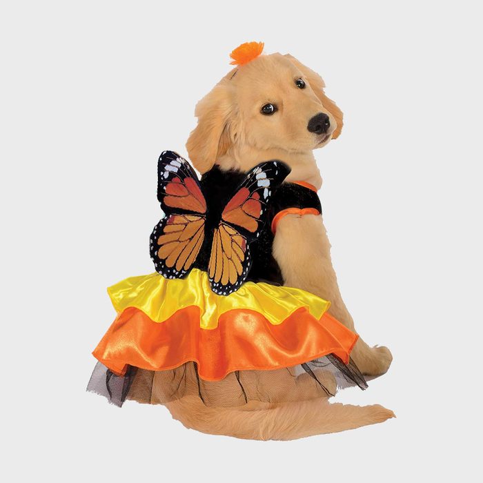 Rd Ecomm Rubie's Pet Costume, Monarch Butterfly Via Amazon.com