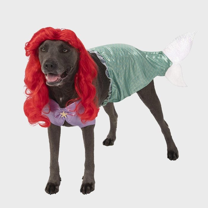 Rd Ecomm Ariel Dog Costume Via Amazon.com