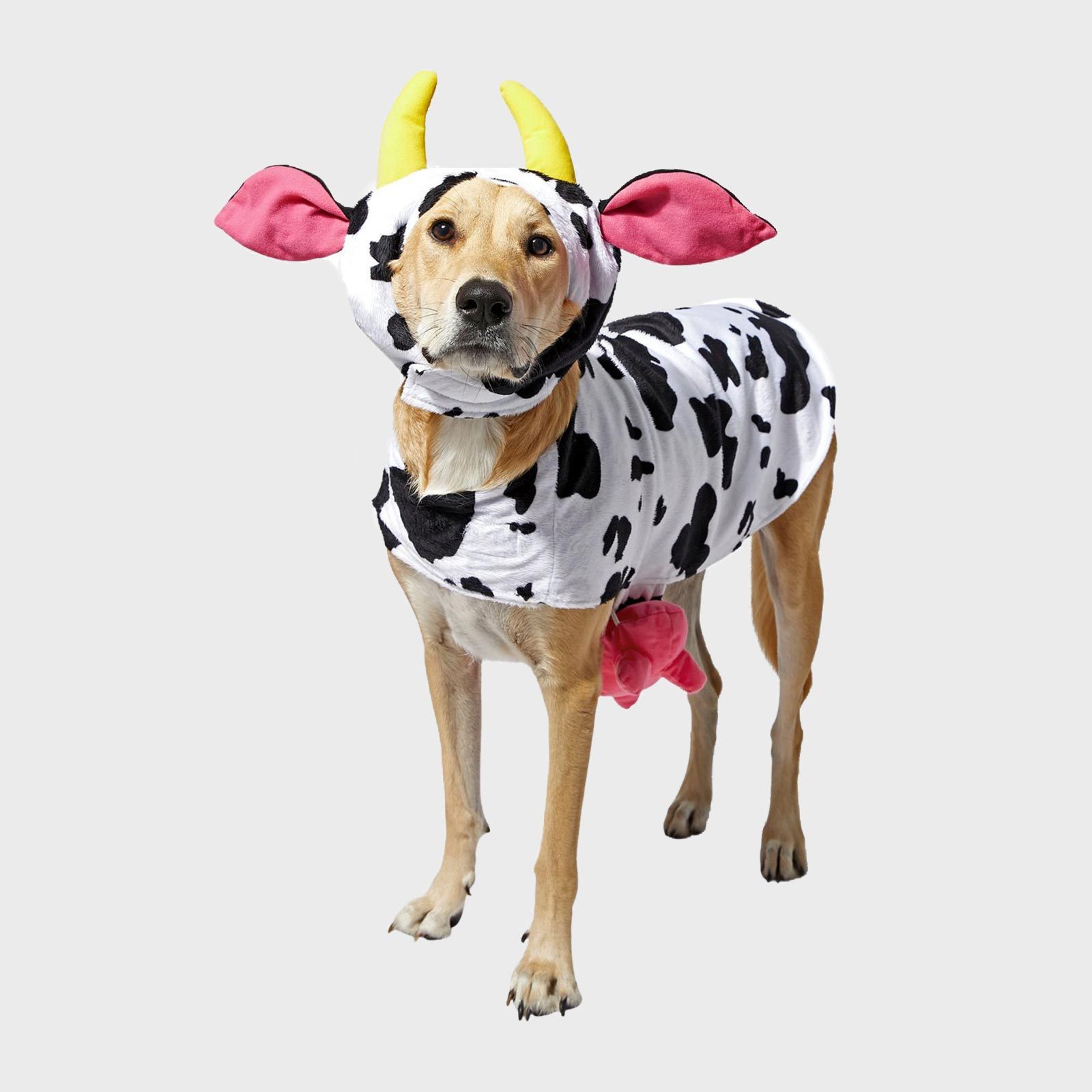 Rd Ecomm Cow Costume Via Chewy.com