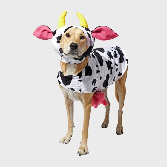 Rd Ecomm Cow Costume Via Chewy.com