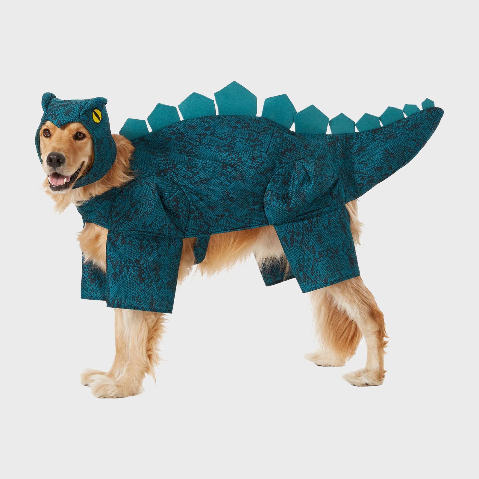 Rd Ecomm Dino Dog Costum Via Chewy.com