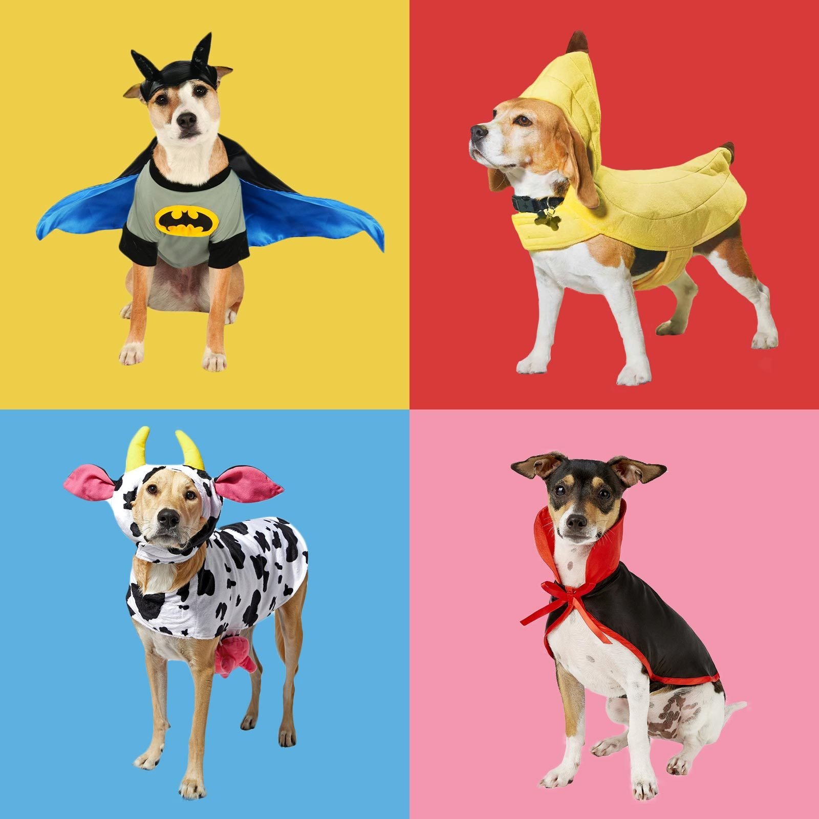 12 Easy DIY Dog Costumes For Halloween 2021 - American Service Pets