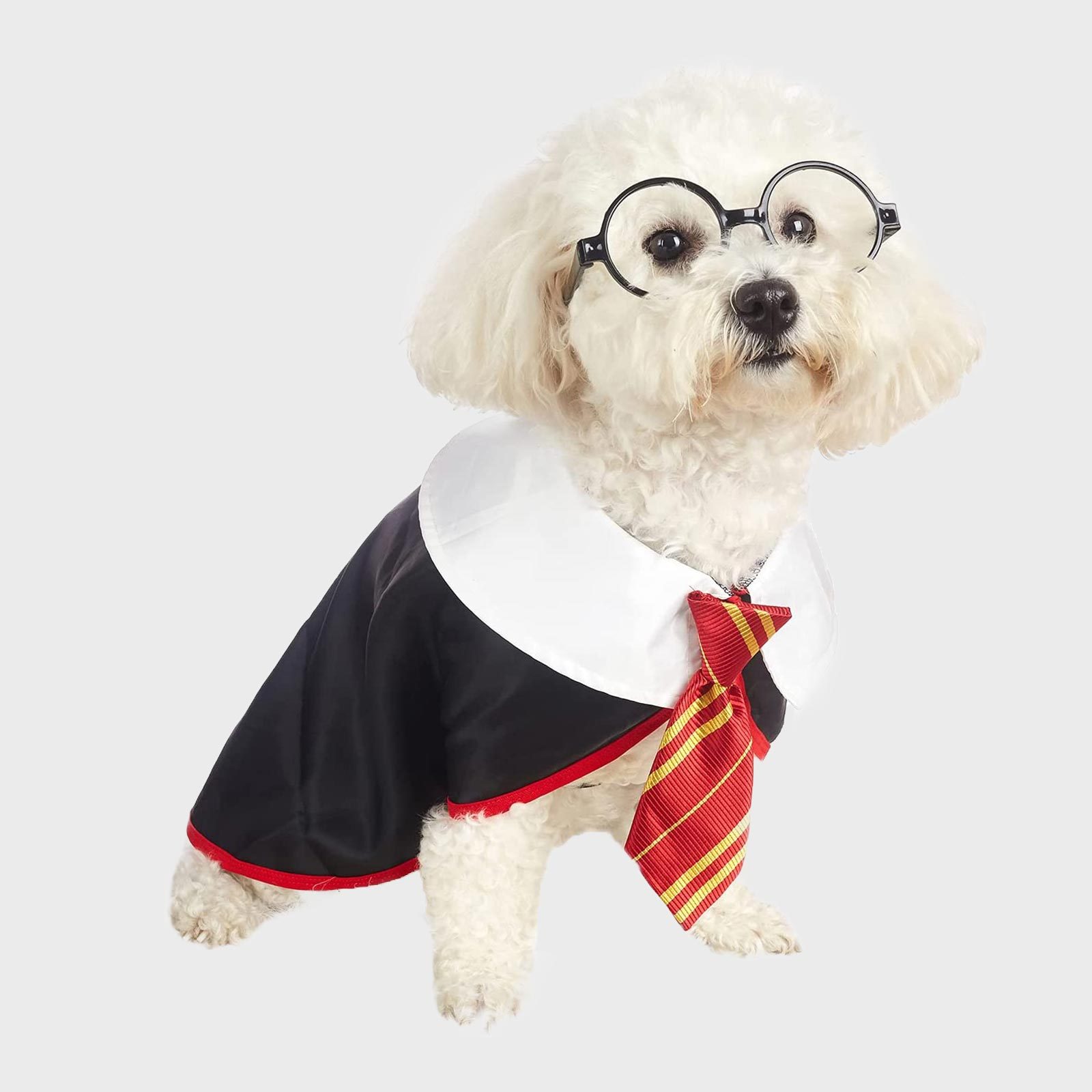 Rd Ecomm Harry Potter Dog Costume Via Amazon.com