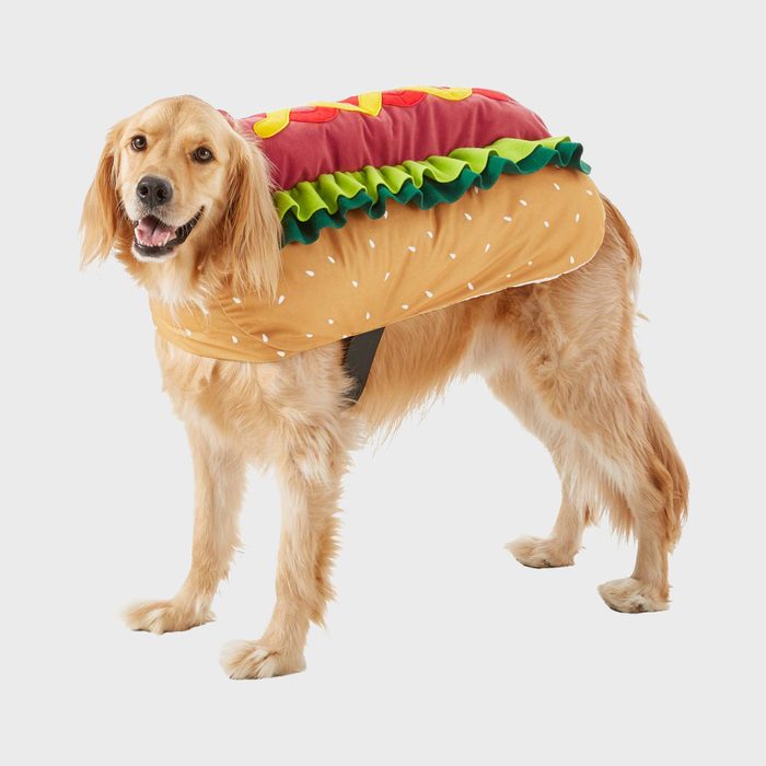 Rd Ecomm Hot Dog Dog Costume Via Chewy.com