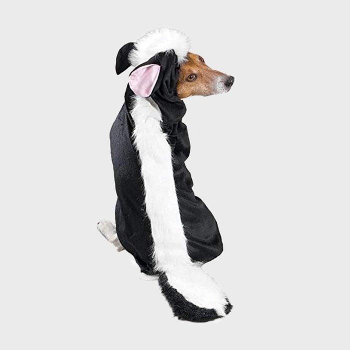 Rd Ecomm Skunk Dog Costume Via Amazon.com