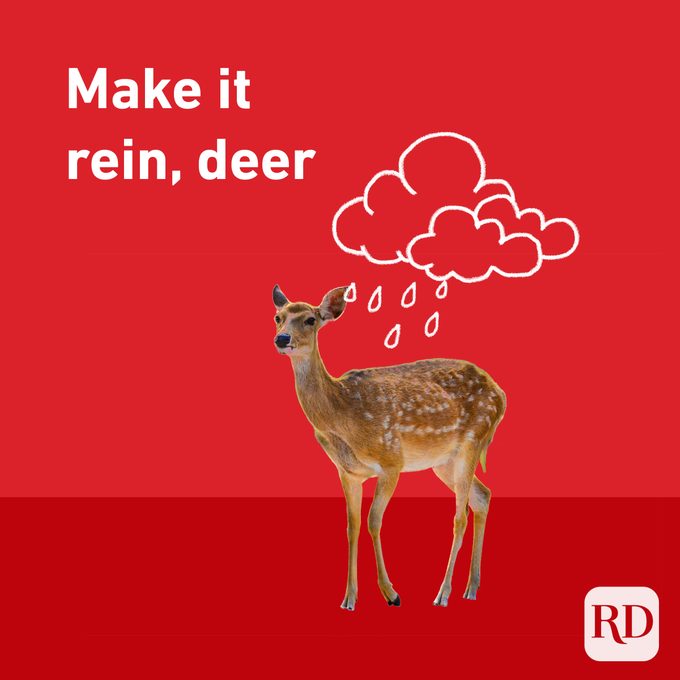 Make it rein, deer with a rain cloud over a dear
