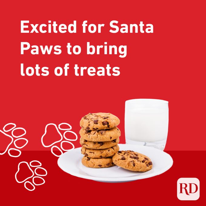 Emocionado de que Santa traiga tantas golosinas con un plato de galletas de leche rodeado de patas de perro dibujadas a mano