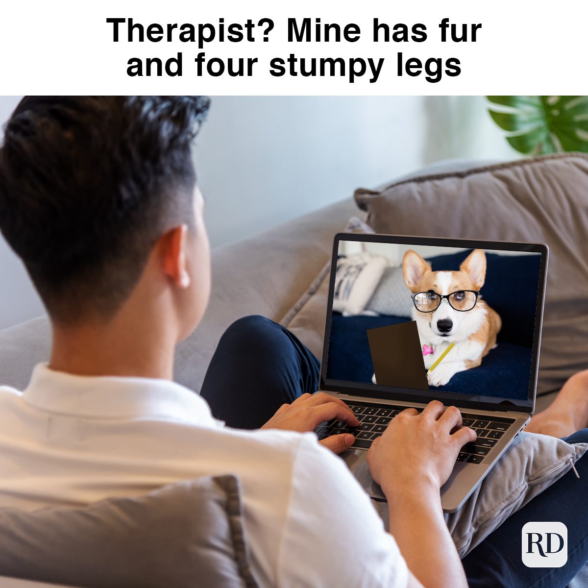 man on couch during a therapy session with a corgi