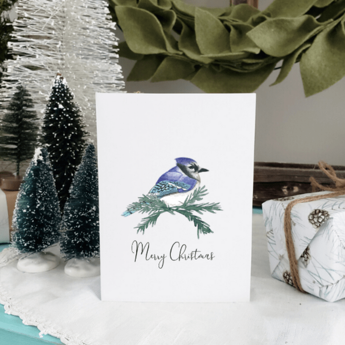 Bluejay Christmas Card
