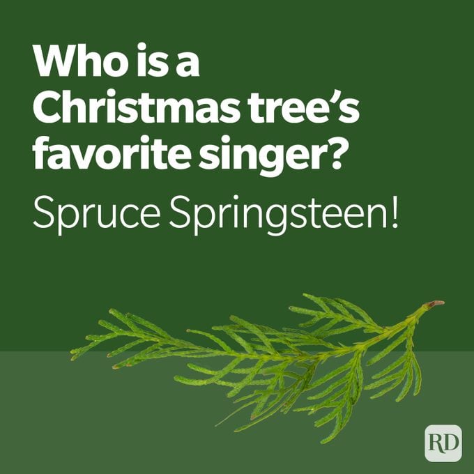 Christmas Joke Spruce Leaf With Christmas Tree Singer Joke