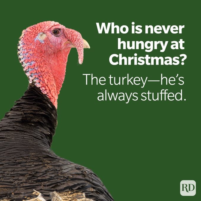 Christmas Joke Turkey With Stuffed Joke