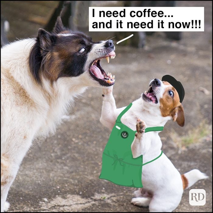 angry dog snarling at smaller dog wearing a Starbucks uniform meme