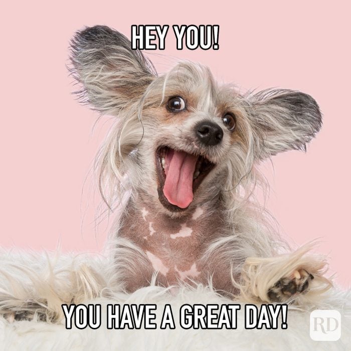 Hey You You Have A Great Day meme text