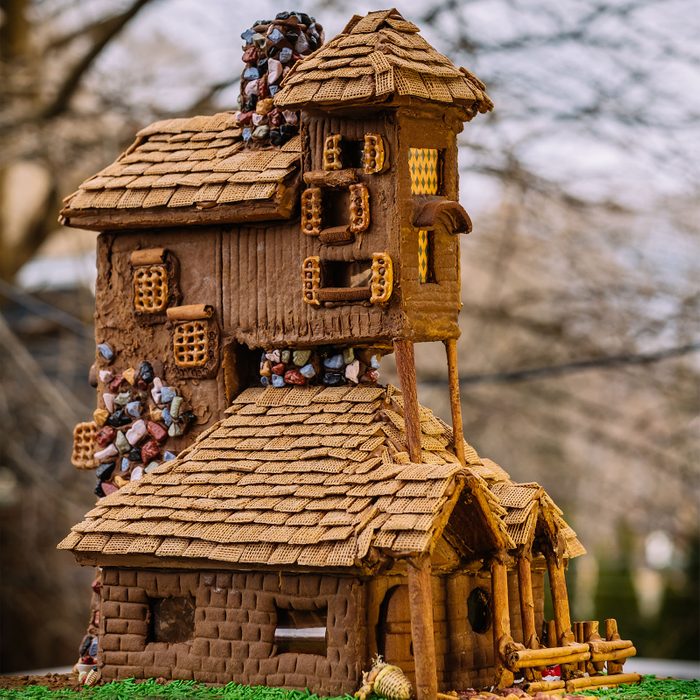 Outdoorsy Gingerbread House
