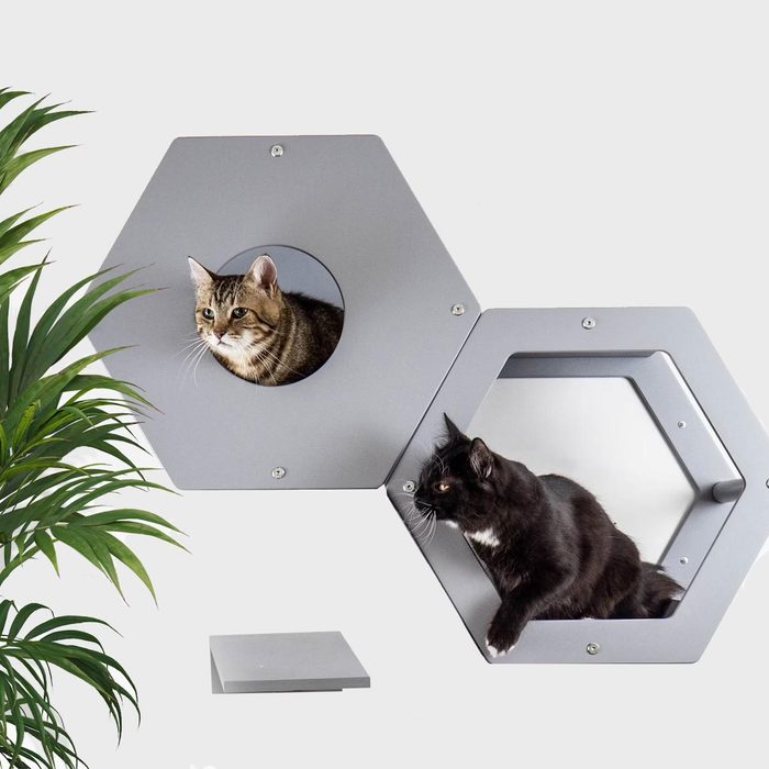 Cat Wall Furniture With Step Сat Tree House Ecomm Etsy
