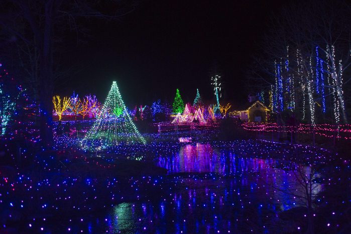 Maine Botanical Gardens christmas light show