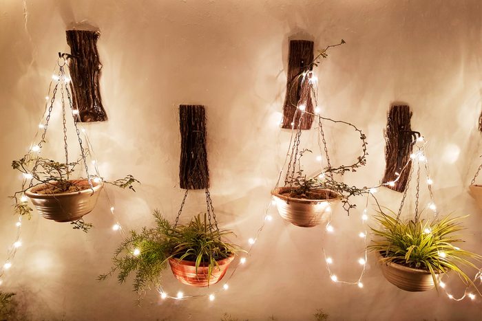 Hanging plant pots with wall decorated with electric lights.