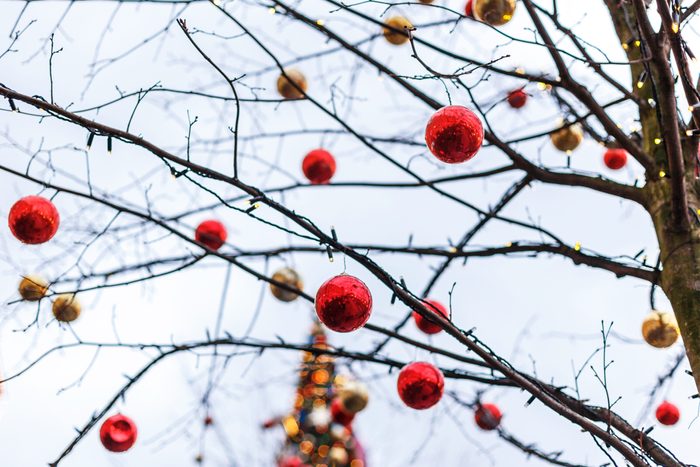 Decoration Winter Tree With Red And Gold Balls.