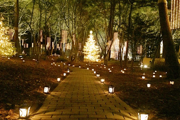 Illuminated Lanterns On Footpath In Park During Christmas