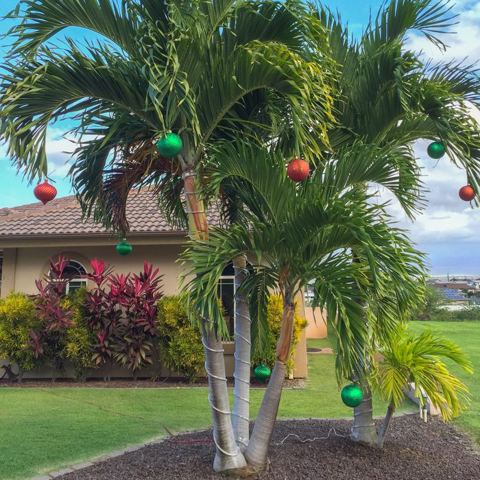 A local Hawaiian house in Kahului, Maui decorated for the holidays.